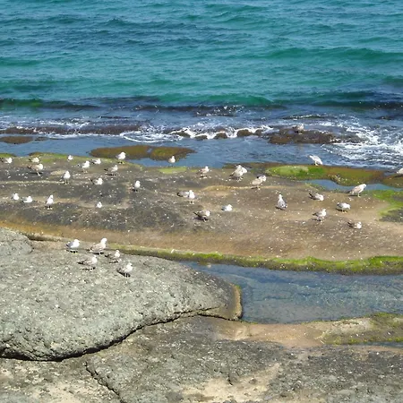 Hotel Romance Kiten (Burgas)