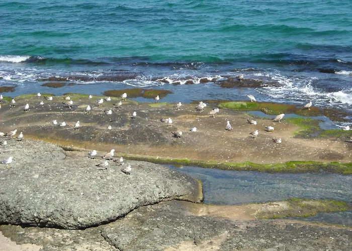 Hotel Romance Kiten (Burgas)